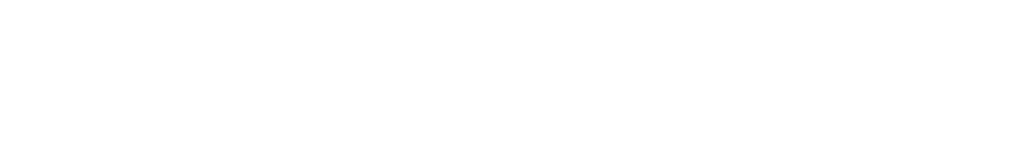 TN_Logo_Weiss